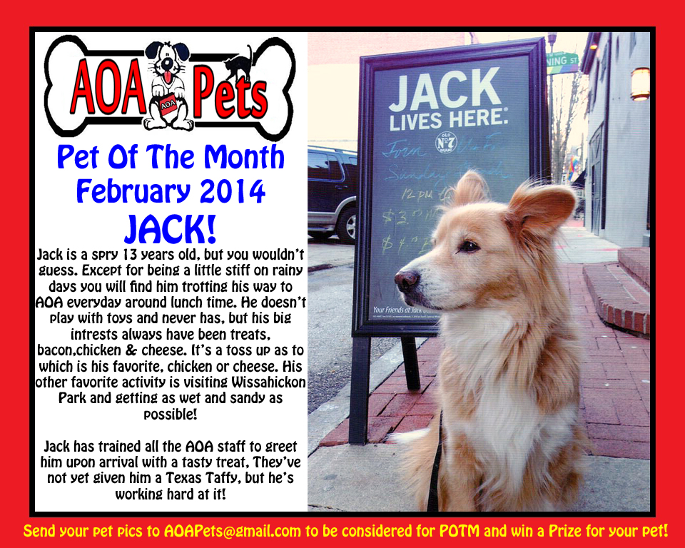 February 2014--Jack